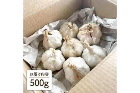にんにく 500g 数量限定《糸島》【爽風農園】【いとしまごころ】[AHZ001]
