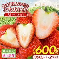 【3Lサイズ以上】いちご とちあいか 600g以上 (300g以上×2パック)｜栃木県 益子町 ふるさと納税 鈴木農園 3L 4L 5L 贈答用 食べ応え抜群 大きい 大きいサイズ いちご イチゴ 苺 果物 フルーツ とちあいか 人気 600g以上 1パックあたり5粒～12粒入り 合計10～24粒入り（DJ002）