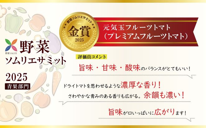 【2026年度予約分】【お試し】期間限定！プレミアムフルーツトマト　H004-145