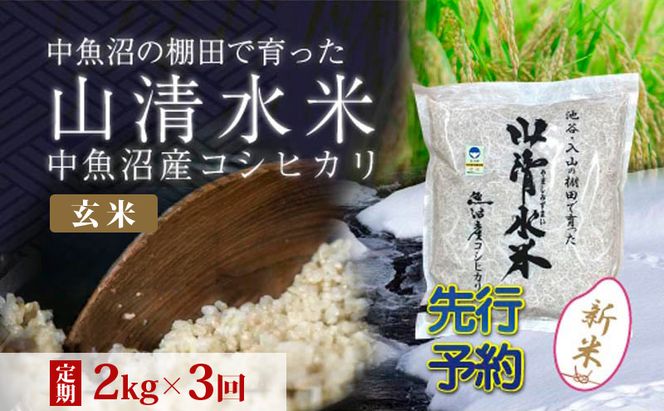 【令和8年産 先行予約】【定期便／全3回】玄米2kg 新潟県魚沼産コシヒカリ「山清水米」