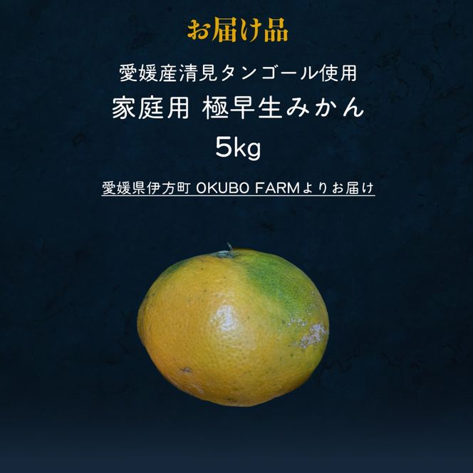 【先行予約】家庭用　極早生みかん５㎏ IKTAT015