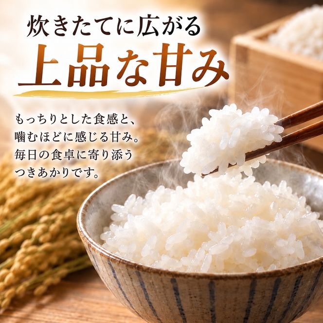 令和8年産 福井県若狭町 つきあかり （一等米） 10kg（神谷農園） 5kg×2袋 お米 ブランド米 銘柄米 ご飯 おにぎり お弁当 産地直送 和食 主食