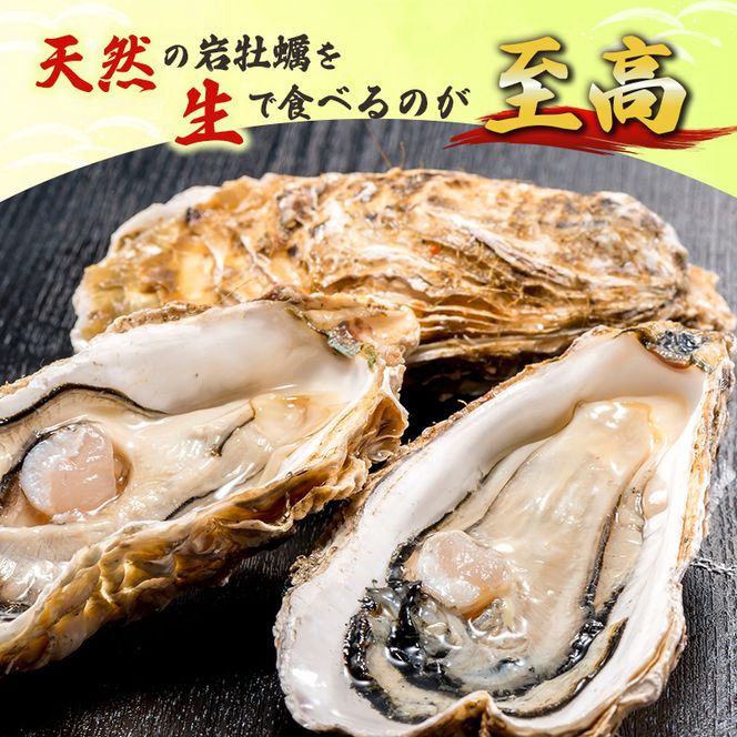 【 先行予約 7月上旬～下旬発送予定】象潟産 天然岩牡蠣 10～12個 ナイフ付【 牡蠣 夏牡蠣 かき 象潟 生食可 魚介類 海鮮 海産物 海の幸 】