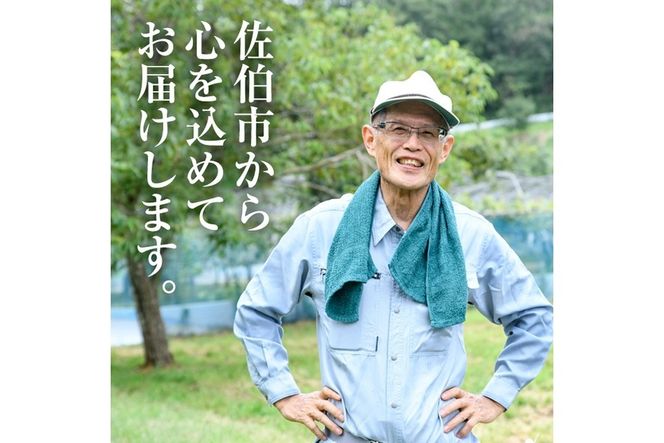 ＜先行予約受付中！2026年9月以降順次発送予定＞宇目葡萄 3種詰め合わせ＋シャインマスカット入り(合計2.5kg・4～5房) ピオーネ 安芸クイーン ハニービーナス ぶどう 種なし 大分県 佐伯市【AY72】【さいき農林公社】