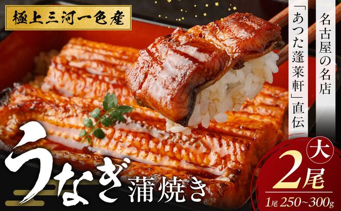 【極上三河一色産】うなぎ蒲焼 2尾（名古屋の名店「熱田蓬莱軒」 直伝） 232238_AA02-PR