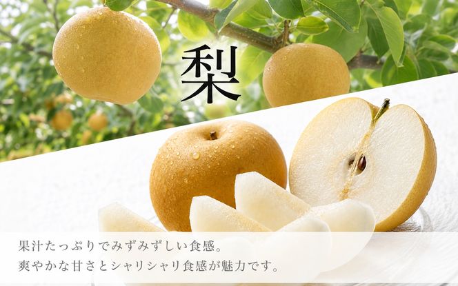 【全2回】かつらぎ町のフルーツ定期便（桃・梨）【8月・9月】 【tkb426】