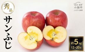 【2026年11月下旬～発送予定】 先行予約 サンふじりんご 秀品 約5kg 12～20玉入 長野県産 果物類 林檎 りんご リンゴ フルーツ 小諸市