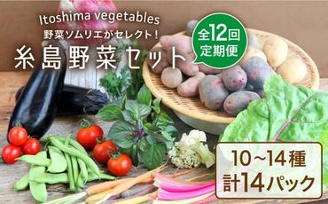 【全12回定期便】旬を味わう 糸島 野菜 セット 10～14種 （14パック） / イタリア野菜 オーガニック 野菜ソムリエ 松永 糸島市 / vegeLabo [AJB003]