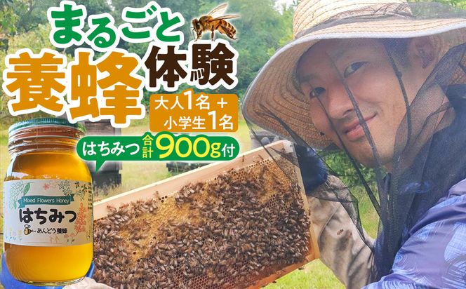 1283.【要予約 親子用（大人1名様+小学生1名様）】あんどう養蜂 まるごと養蜂体験（約3時間）はちみつ大人：600g、小学生：300g付き 313726_BW020