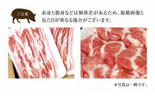 ローズポーク バラ ・ 肩ロース 食べ比べ 焼肉セット 400g × 2P ( 茨城県共通返礼品 ) ローズ ポーク 豚 豚バラ 豚ロース 豚肉 冷凍 肉 焼肉 やきにく BBQ たべくらべ セット [BM082us]
