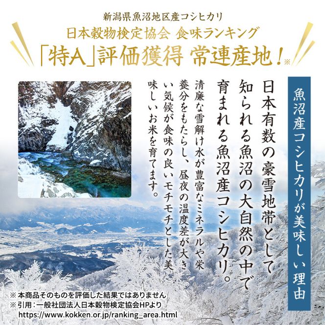 特別栽培米 魚沼産こしひかり(十日町地域) 精米 5kg 米 お米 コシヒカリ 十日町市