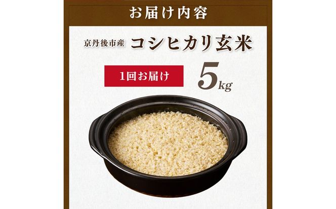 直売所直送「令和7年産　京丹後市産　コシヒカリ」　玄米5kg ふるさと納税 米 玄米 特A 検査1等米 国産 こめ ごはん 京都産 コシヒカリ 農家応援 生産者応援 送料無料　JA00081