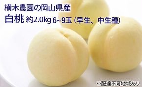 桃 2026年 先行予約 岡山の 白桃 （早生、中生種）約2.0kg 6～9玉 もも モモ 岡山県産 国産 フルーツ 果物 ギフト 横木農園 デザート 太陽 化粧箱 果肉 柔らかく果汁 厳選 美味しい 贈答品 