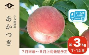 あかつき 約3kg 7～12玉 ［小布施屋］ 桃 もも モモ フルーツ 果物 令和7年産 【2025年7月末頃～8月上旬発送】 ［A-4］