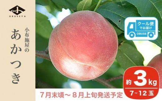 あかつき 約3kg 7～12玉 ［小布施屋］ 桃 もも モモ フルーツ 果物 令和7年産 【2025年7月末頃～8月上旬発送】 ［A-4］