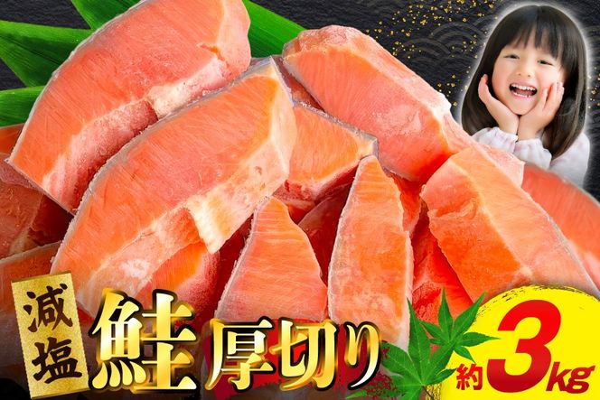 訳あり 減塩 塩鮭 【厚切り】 切身 総重量 3kg [足利本店 宮城県 気仙沼市 20565553] 魚 魚介類 サーモン 鮭 海鮮 魚介 塩分控えめ 甘塩味 さけ サケ 鮭切身 シャケ 切り身 鮭切り身 簡易包装 規格外 不揃い 家庭用 訳アリ 冷凍
