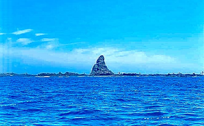 SV茅ヶ崎サザンCピアスS アクセサリー 