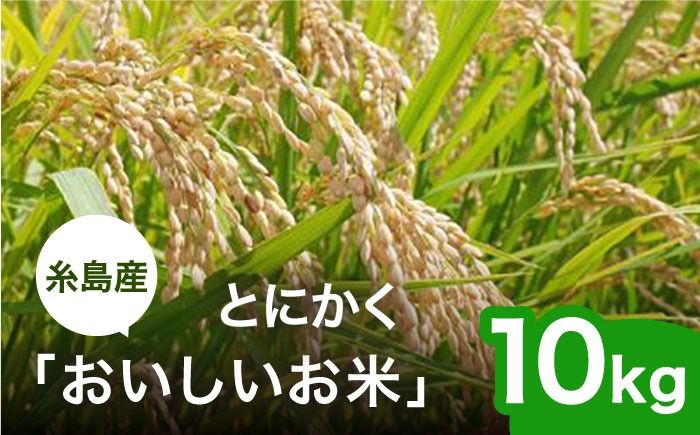 [令和6年産]とにかくおいしいお米 夢つくし 10kg 糸島市 / シーブ [AHC023] お米 10kg 送料無料 ギフト おこめ 10キロ 白米令和5年 白米お米 白米10kg 白米送料無料 白米ギフト 白米おこめ 白米10キロ 白米栽培期間中 白米農薬不使用 白米おにぎり