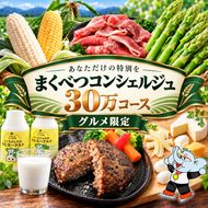 【グルメ満喫】あなただけの特別を まくべつコンシェルジュ　返礼品おまかせ 30万 グルメ限定コース [ 幕別町役場 定期便 ギフト 贈答 おまかせ おすすめ よつ葉 豚肉 ハンバーグ 詰め合わせ ]