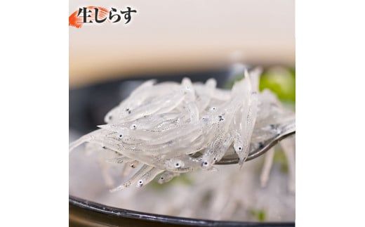 【CF-R7hbk】おじゃこ食べ比べセット ゆず酢・タレ付き シラス 小分け じゃこ ちりめんじゃこ ふわふわ 国産 釜揚げ かちりじゃこ しらす丼 海鮮丼 ごはん ご飯 おにぎり おかず お取り寄せ 美味しい