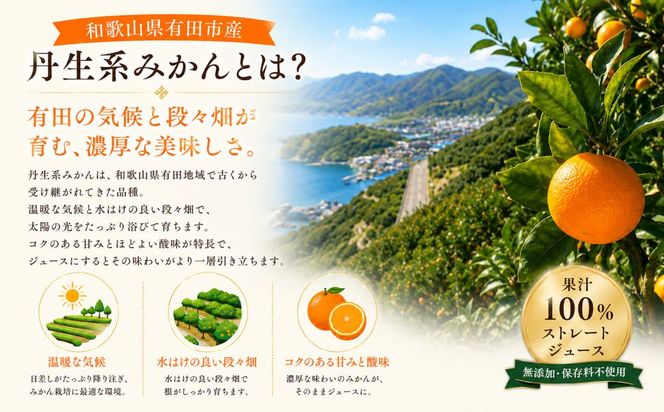 丹生系 みかん ジュース 無添加 果汁 100％ ストレート 720ml×2本 【令和8年度 有田市 認定みかんジュース】(A1185-1)