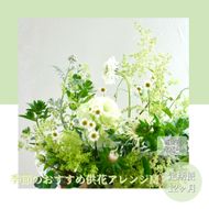 【CF-R7hbk】t174tmf　《12ヵ月定期便》生花アレンジ お供え 供花M 定期便 定期コース 全12回 フラワーアレンジメント そのまま飾れる お供え 花束 生花 仏花 供花 花束 花 法要 お盆 季節のお花 供花 お供え
