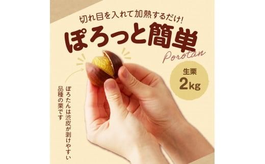 【期間限定】低温貯蔵 東美濃ぽろたん（生栗） 【発送日10月末～11月上旬】 F4N-1275