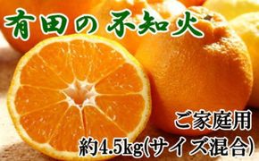【先行予約】【濃厚】有田の 不知火 約4.5kg ご家庭用（サイズ混合）/ みかん 有田みかん 柑橘 不知火 和歌山 ※2027年2月下旬～3月下旬頃発送予定 【tec010-c-4d5】
