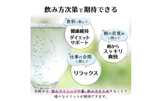 シリカ＆バナジウム強炭酸水PET500ml【1箱(24本入)/2箱(48本入)】友桝飲料