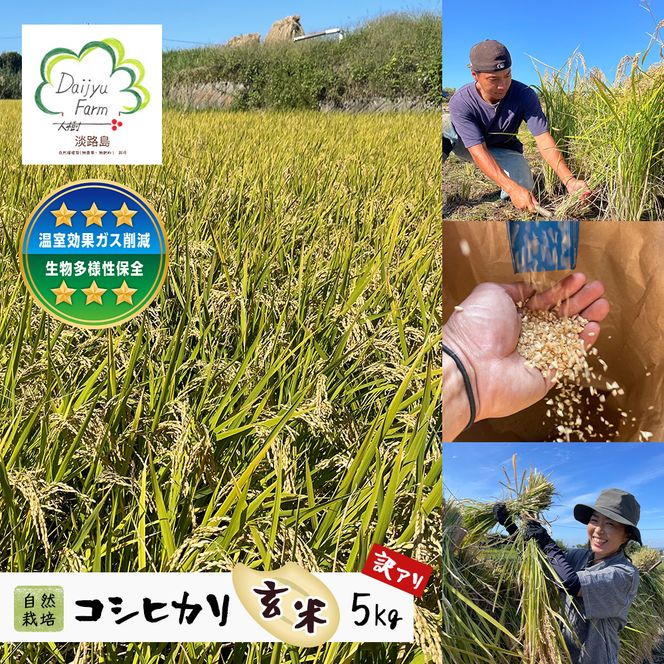 自然栽培　コシヒカリ（玄米）　5kg 《無選別品のため訳アリ》