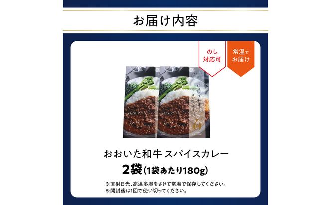 【K03037】おおいた和牛 スパイスカレー 2袋