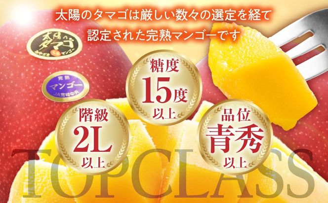 【2027年発送】【数量限定】宮崎県産 太陽のタマゴ A等級 4Lサイズ×2玉（合計約1kg）_kn056-011