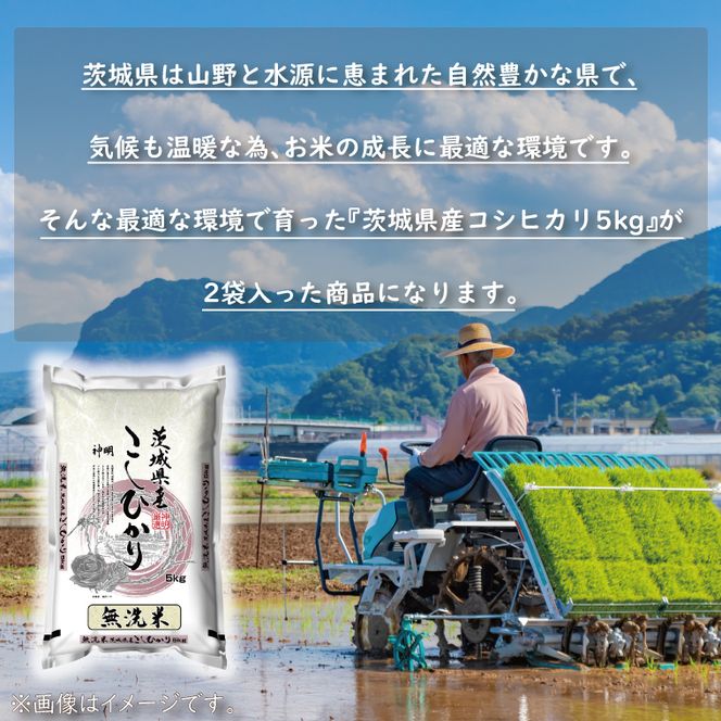 令和8年産 新米 無洗米 茨城 コシヒカリ 10kg (5kg×２袋) 米 お米 おこめ 白米 ライス ご飯 精米 こしひかり 国産 茨城県産