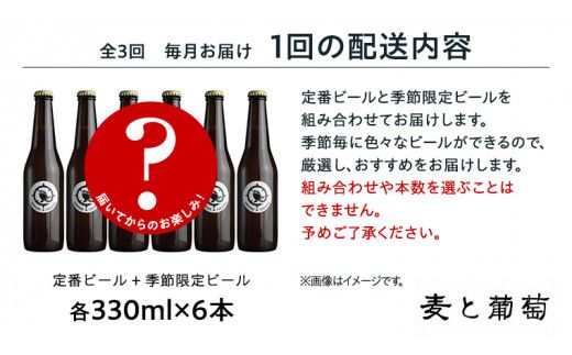 【 3ヶ月連続 】 クラフトビール おまかせ 定期便 6本セット 飲み比べ 茨城県産 牛久醸造場 330ml × 6本 ビール 地ビール クラフト お酒 贈り物 ギフト 詰め合わせ [BJ032us]