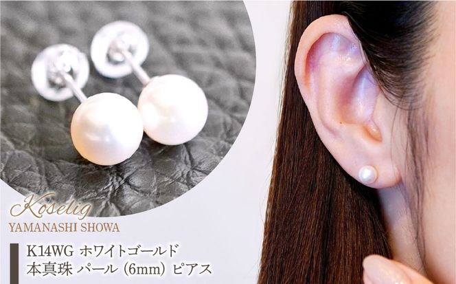 yRazK14WG zCgS[h {^ p[ (6mm) sAX ۏ؏t KO-0050 SWAD066