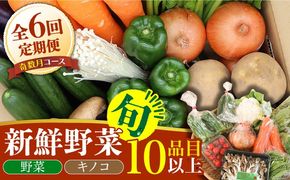 【奇数月コース】野菜 キノコ 10品目以上 詰め合わせ 6回 定期便 / 南島原市 / 吉岡青果 [SCZ005]