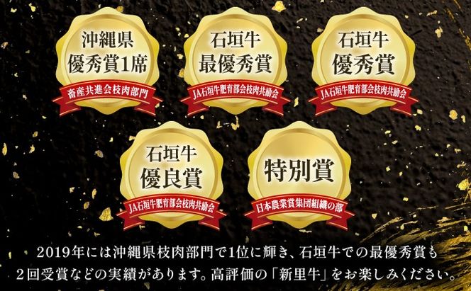 石垣島産 黒毛和牛 新里牛 濃厚赤身ローストビーフ用（ソトモモ）（200g〜300g×2個）合計500g以上 SZ-11