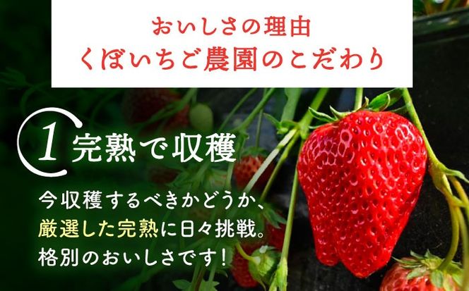 いちごジャム 3本セット 果物 フルーツ 紅ほっぺ いちご 愛西市 / くぼ苺農園 【配達不可：離島】[AECJ022]