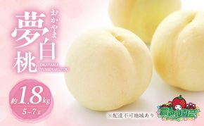 桃 2026年 先行予約 おかやま 夢 白桃 約1.8kg 5～7玉 進物用 もも モモ フルーツ 果物 岡山 赤磐市産 農マル園芸 あかいわ農園 家庭用 