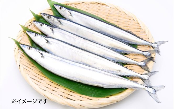 匠が作る「丸盆ざる」2枚組（直径27cm/直径30cm）_1928R