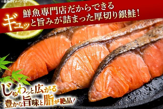 鮭 6回 定期便 厚切り 塩銀鮭 A品 切り身 約1kg 総計6kg [安田 宮崎県 日向市 452061475] 銀鮭 鮭 魚介類 海鮮 さけ サケ 鮭切身 シャケ 切り身 1kg 1キロ 冷凍 家庭用 おかず 弁当 銀鮭切り身 魚