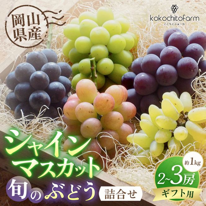 【2026年先行予約】 ここちとふぁーむ 【ギフト】 岡山県産 シャインマスカット＆旬のおまかせぶどう 2～3房 約1kg 【koko015-01】