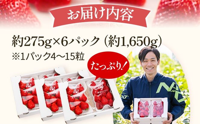 あまおう 約1650g（約275g×6パック） 【先行受付／2026年3月下旬以降順次発送予定】いちご 苺 福岡高級 フルーツ お取り寄せ ご当地グルメ 福岡土産 取り寄せ グルメ 福岡県 食品 社会福祉法人 猪位金福祉会