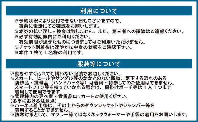 天空ジップライン ペア体験チケット 2枚 チケット ペア 体験 アクティビティ ジップライン 熊本県 上天草市