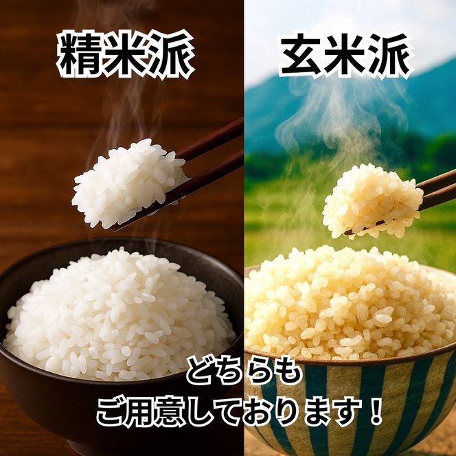 令和8年産 新米 キヌヒカリ 5kg (玄米) 明田のお米 玄米 お米 新米 南丹市 京都 新米26