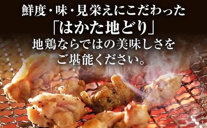 【ふるさと納税】はかた地どり ハラミ 1.5kg 500g×3パック 小分け 福岡県産 地鶏 鶏肉 冷凍 国産 はらみ とり肉 希少部位 チキン 炒め物 鉄板焼き 塩焼き 串焼き 焼き鳥 おつまみ 家飲み おうちごはん お取り寄せ グルメ ギフト