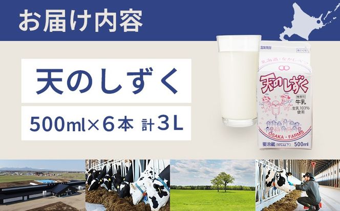 天のしずく 500ml × 6本 計 3L【51006】