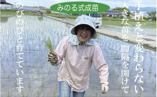 伊賀米コシヒカリ 令和8年産（12月末まで）特別栽培米「真米」白米10kg【ymnk0002A】