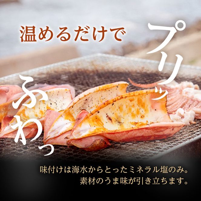 イカ 炭火焼きイカ 8パック セット 青森 いか 干物 干物セット するめ スルメ スルメイカ 海鮮 魚介類 魚介 海産物 国産 加工食品 惣菜 青森県 鰺ヶ沢町 ※ご入金確認後 3ヶ月以内の発送になります。 青森県鰺ヶ沢町 