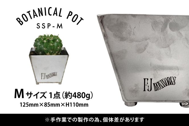 お取り置き専用　多肉植物　オルペット錦　他 Ornithogalum コルガータ 縮玉 x antique イギリスジャー | 多肉